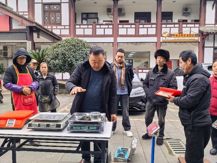 成都市双流区黄龙溪市场监管所开展古镇景区电子计量器具专项检定行动